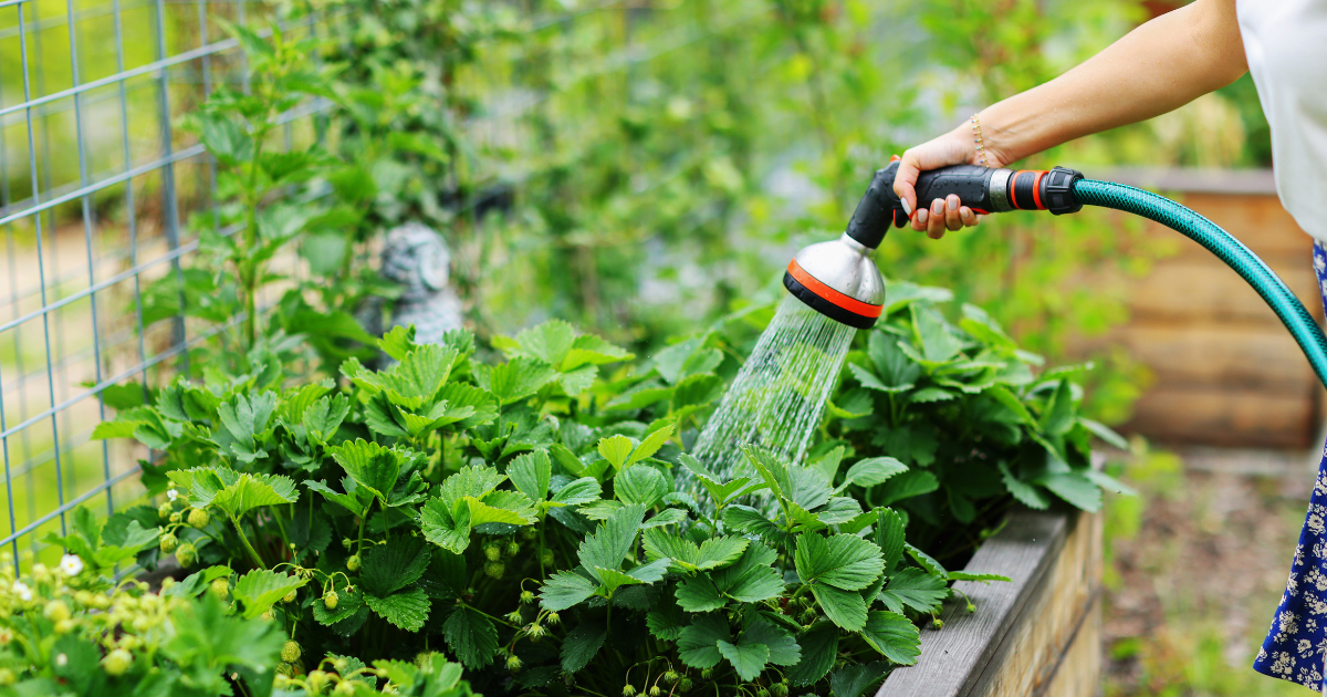 Bezzapachowe oczyszczalnie ścieków – czy&nbsp;to&nbsp;możliwe?